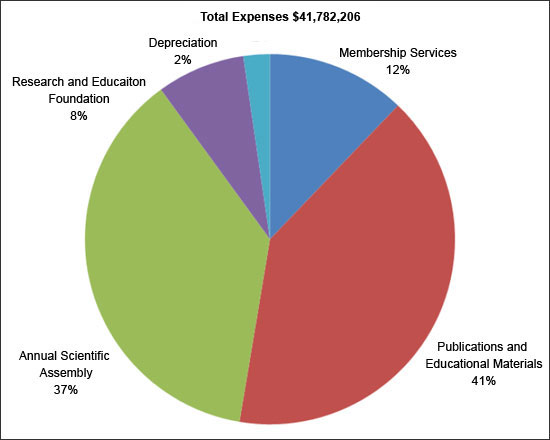 Total_Expenses_pie_chart_2009_1.jpg