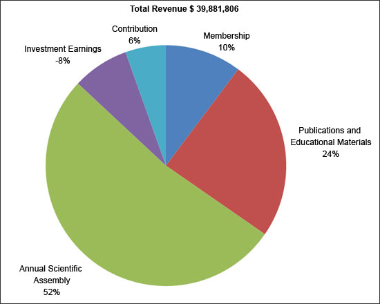 Total_Revenue_pie_chart_2009_1.jpg