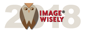 image Wisely Logo image Wisely Logo