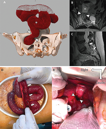 2022 Images in Radiology