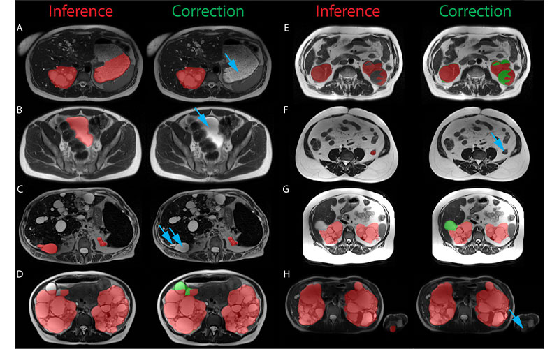 Гоэль Рисунок 4