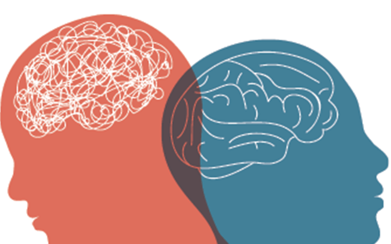 brain to brain graphic feature