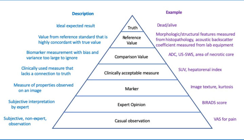 Hierarchy of values starting with truth, followed by measurements of decreasing levels of certainty, with a brief description of each level on the left and examples on the right.  