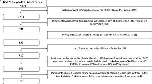 Osteoarthritis Initiative 
