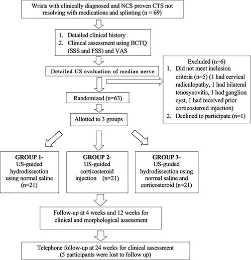 Carpal Tunnel Syndrome Fig 3