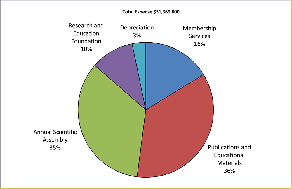 2019 Total Expense Graph