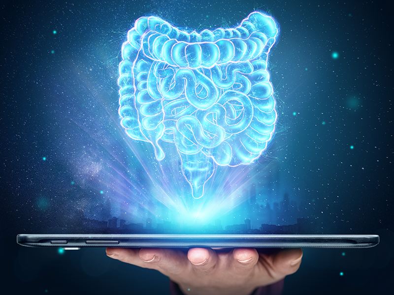 Innovations in GI and GU Imaging