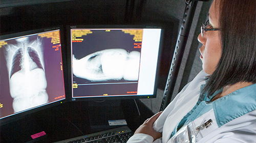 Computer screen with imaging