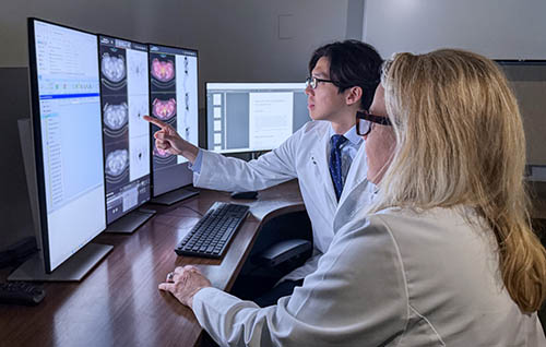 Two Doctors at Screens