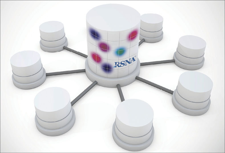 The Quantitative Imaging Data Warehouse (QIDW) The Quantitative Imaging Data Warehouse (QIDW)