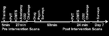 Schematic shows the timeline of functional MR imaging and surveys Schematic shows the timeline of functional MR imaging and surveys