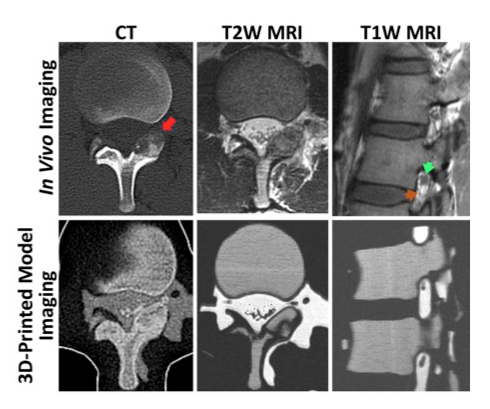 3d-print-model-imaging