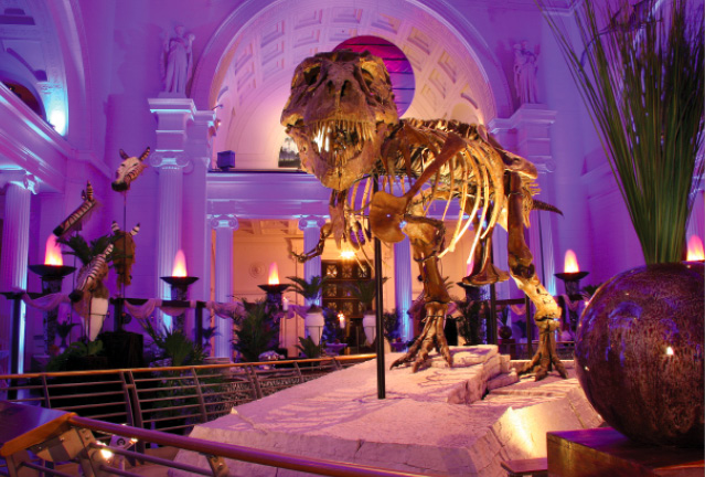 Field Museum