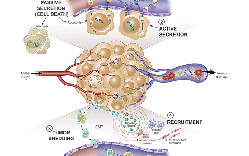 liquid biopsy feature