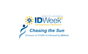 Chasing the Sun feature