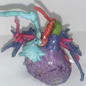 Bardo image 1