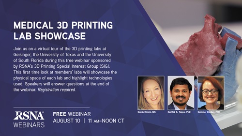3D SIG Webinar 2021