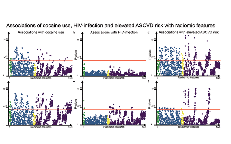 Radiomics research image