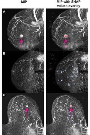 Verburg figure 3 research