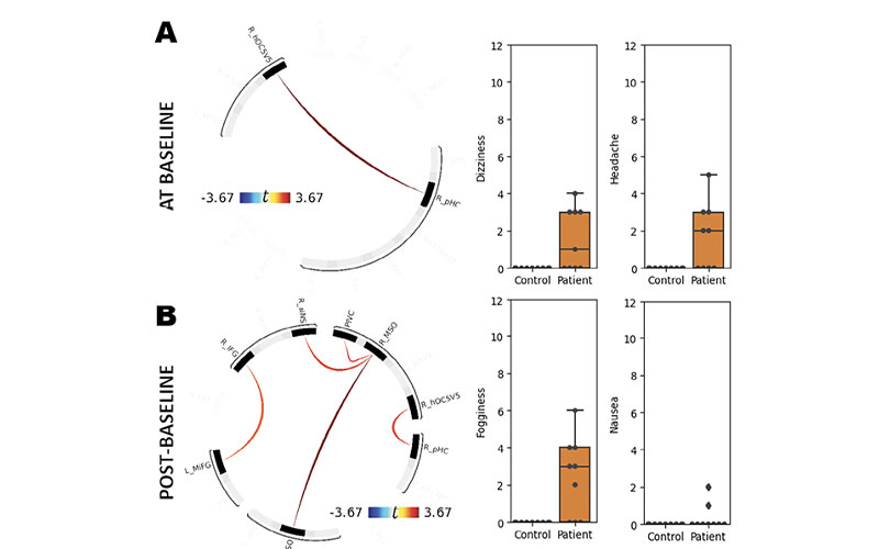 Trofimova research image