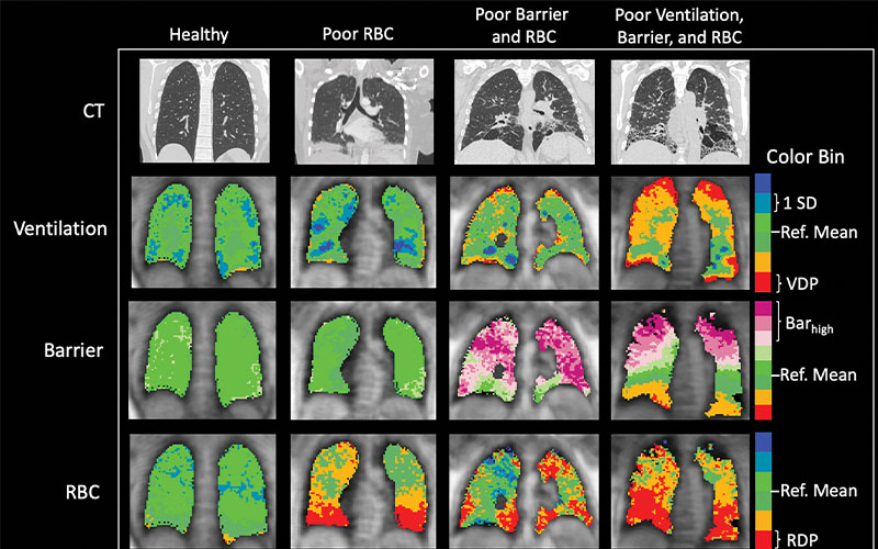 R&E Mammarappallil image