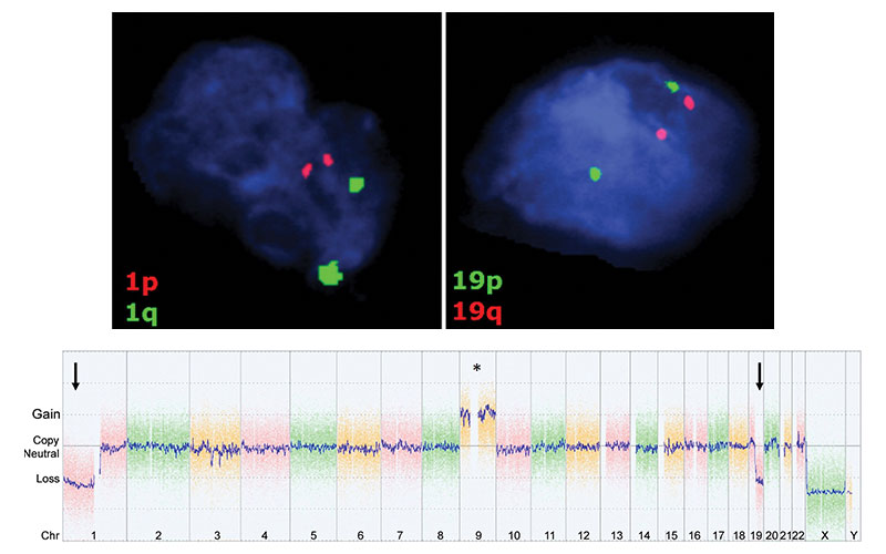Sohil Patel CD feature