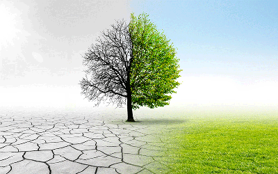 Climate change scorched earth and green grass