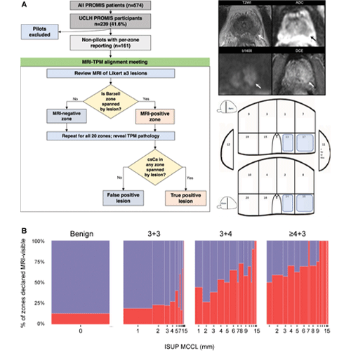 Radiology Stavrindes image