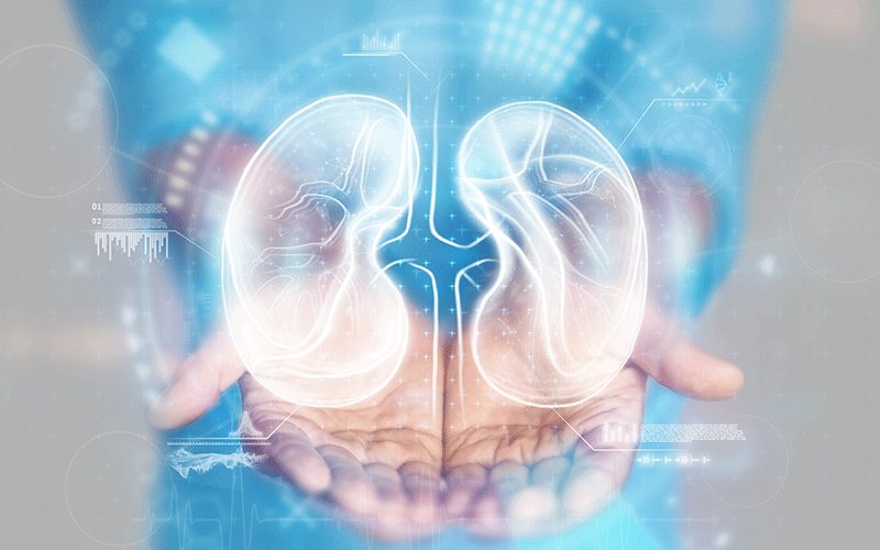 Kidney disease doctor