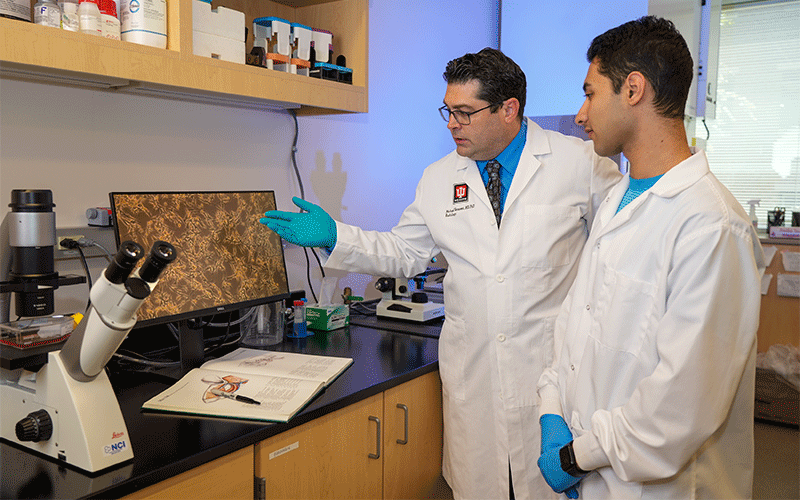 Michael Veronesi lab