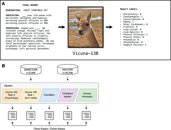 Summer RY Fig 2 Large language models and patient privacy