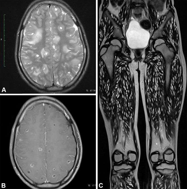 Top Radiology Image 1 2024
