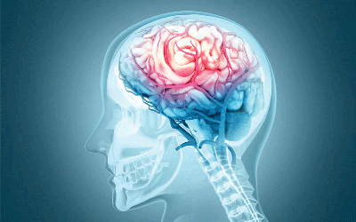 Shutterstock 2197956393 Shutterstock image of translucent head with brain inside