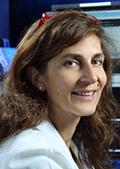 Laura M. Fayad, MD