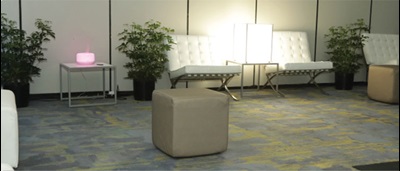 Comfortable seating with calming lighting and decorative plants in Zen Zone at the RSNA annual meeting