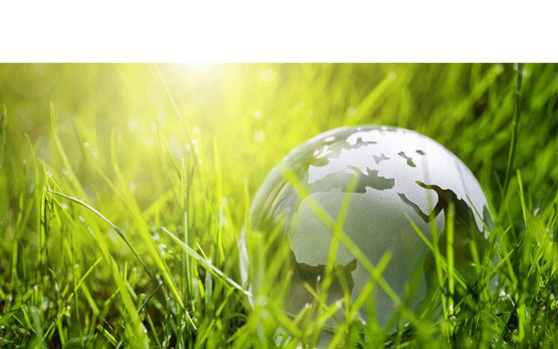 Offset image with globe in grass depicting sustainability