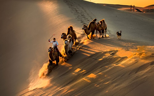 Group of people crossing the desert with camels