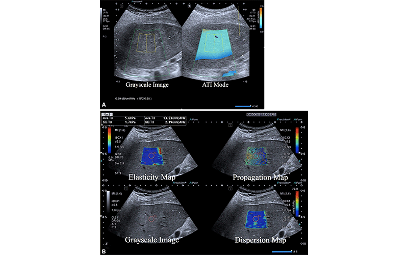 Liang Radiology feature