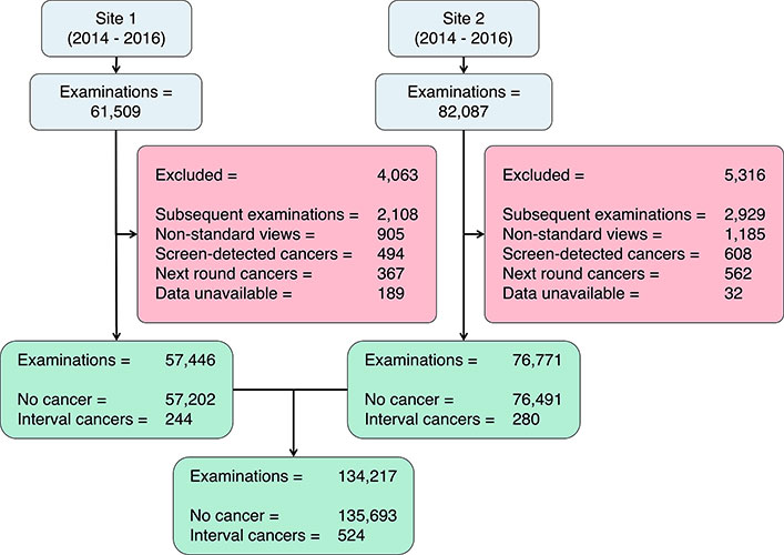 Flow diagram of included and excluded interval breast cancer patients. 