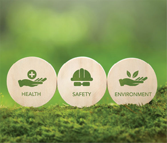 Wooden circular icons labeled Health, Safety and Environment displayed on moss with a blurred green background.