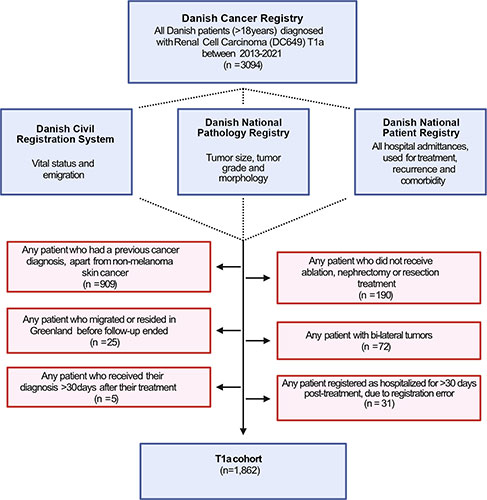 Flow diagram of patient selection from a nationwide registry-based cohort of Danish adults diagnosed with T1 a renal cell carcinoma.