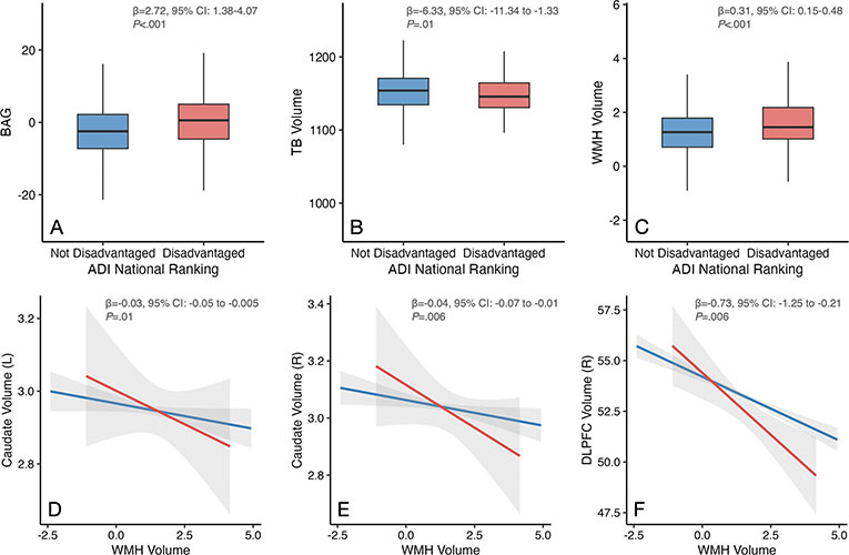 Living in a more economically disadvantaged neighborhood (based on national rankings) was associated with older-looking brains (panel A), smaller overall brain volume (panel B), and more small blood vessel damage (panel C; seen on MRI as "white matter hyperintensities"). 