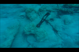 Press release video 1