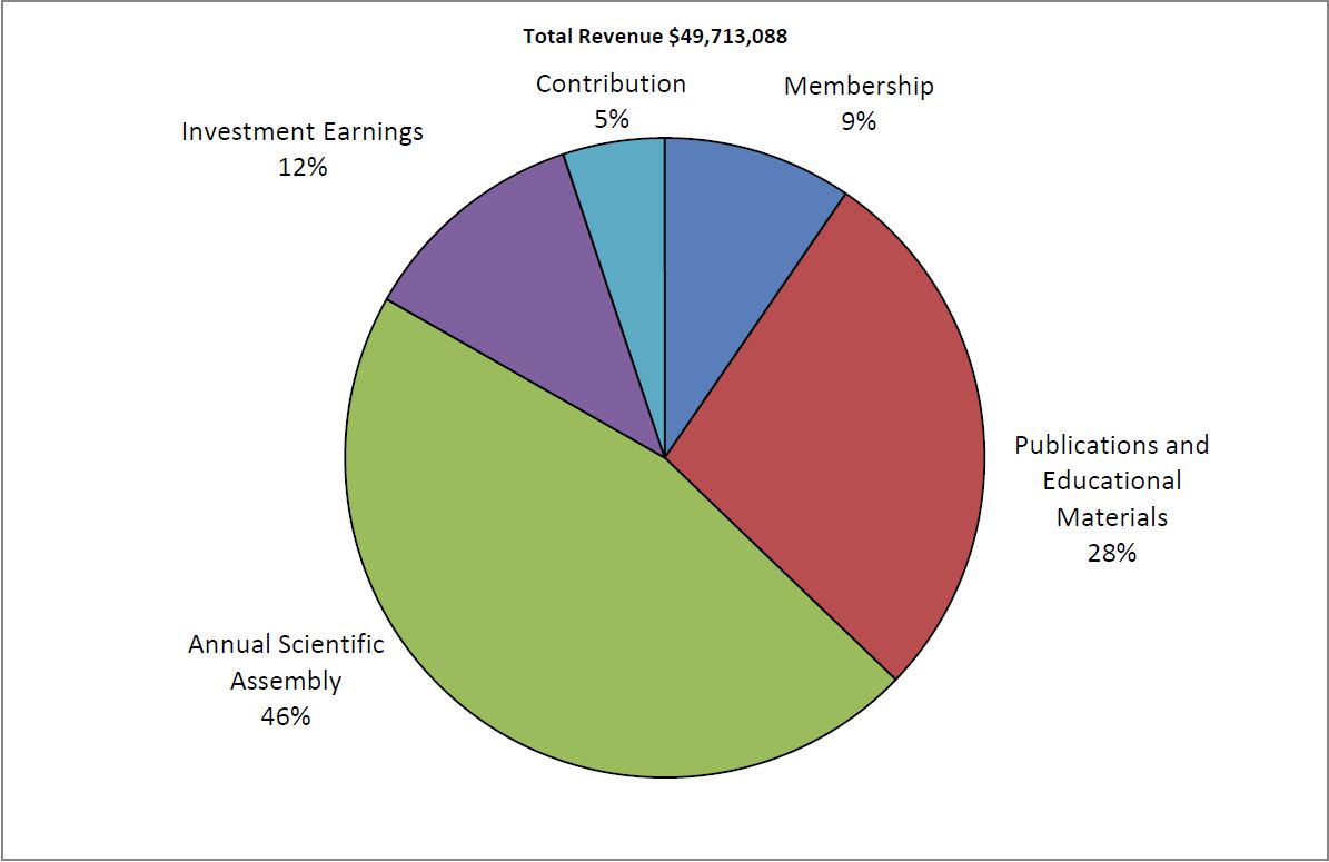 2013 Total Revenue pie chart 2013 Total Revenue pie chart