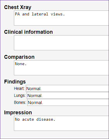 information report template